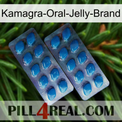 Kamagra-Oral-Jelly-Brand viagra2